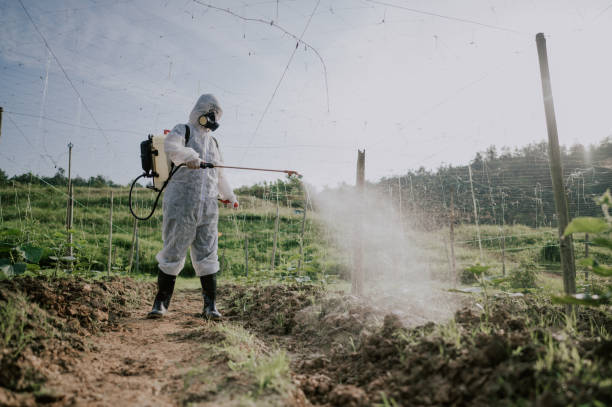 Best Commercial Pest Control Services  in Madill, OK