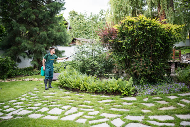 Best Pest Prevention Services  in Madill, OK