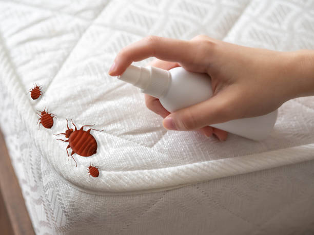Best Cockroach Control Services  in Madill, OK